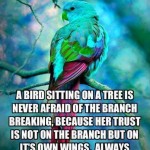 Birdstrust